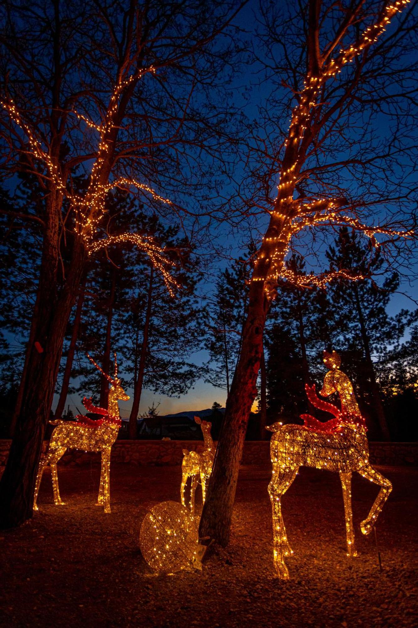 Mz Reindeer Hotell Kalívia Eksteriør bilde